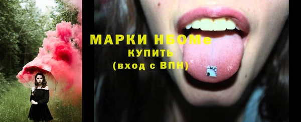 твердый Богородицк