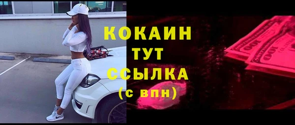 твердый Богородицк
