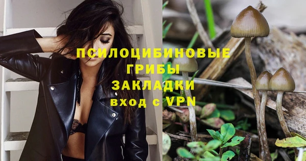 крисы Богданович