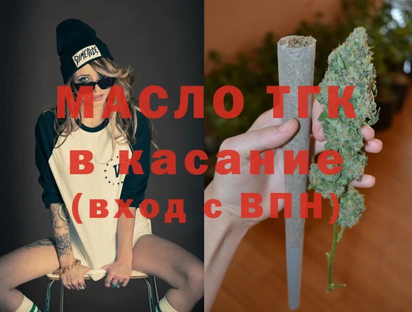 индика Беломорск