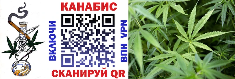 Бошки марихуана марихуана  Великий Устюг 